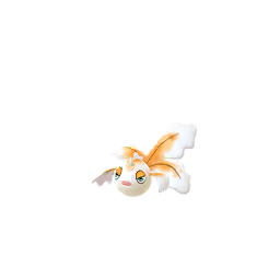 角金魚 Shiny - Female
