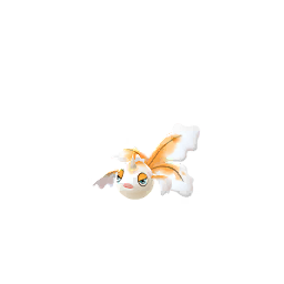 角金魚 Shiny - Male