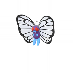 Butterfree - Male