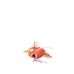 鯉魚王 - Female