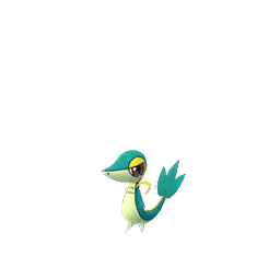 Snivy Pok Mon Go Best Movesets Counters Evolutions And Cp
