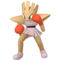 Hitmonchan