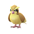 Pidgey