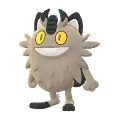 Get this Galarian Meowth NOW! He is great for raids! #pokemon