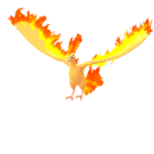 火焰鳥 - 飄浮泡泡的樣子 - Pokémon GO