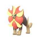 火炎獅 - 飄浮泡泡的樣子 - Pokémon GO