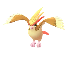 Pokerag - [ 🥊 ] BATALHA POKÉMON - MEGA EVOLUÇÕES Mega Pidgeot #018-  Pokémon Pássaro dos tipos normal e voador. O Pidgeot Mega evolui ao segurar  a Pidgeotite. Ao fazer isso, além