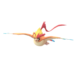 Mega Pidgeot - Male & Female