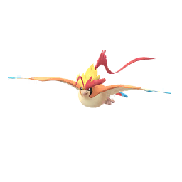 Mega Pidgeot, Victory Road Wiki