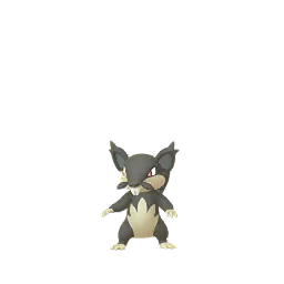 Imagem capturada da tela do jogo Pokémon GO, mostrando o Rattata