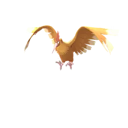 Fearow (Pokémon) HD Wallpapers and Backgrounds