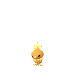 Torchic Pokemon GO