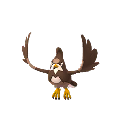 Staravia Shiny - Male