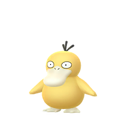 Psykokwak Pokemon GO