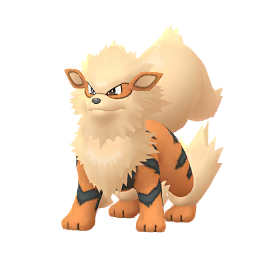 arcanine pokemon show