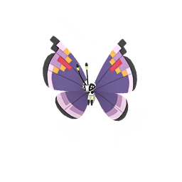 Vivillon - Elegant Shiny - Male & Female