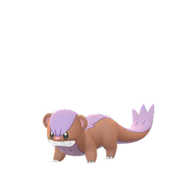 Yungoos Shiny - Male & Female