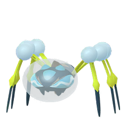 깨비물거미 - Male & Female