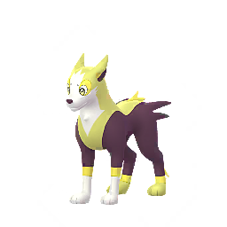 Boltund Shiny - Male & Female