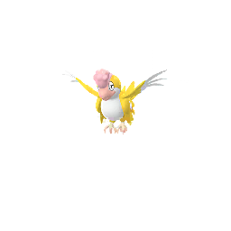 イキリンコ (イエローフェザー) Shiny - Male & Female